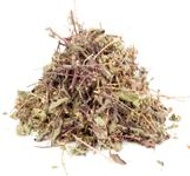 House Blend Tulsi from The Tao of Tea