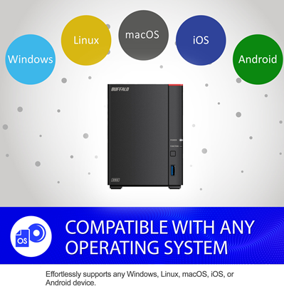 BUFFALO LinkStation 720 2-Bay Professional Network Storage