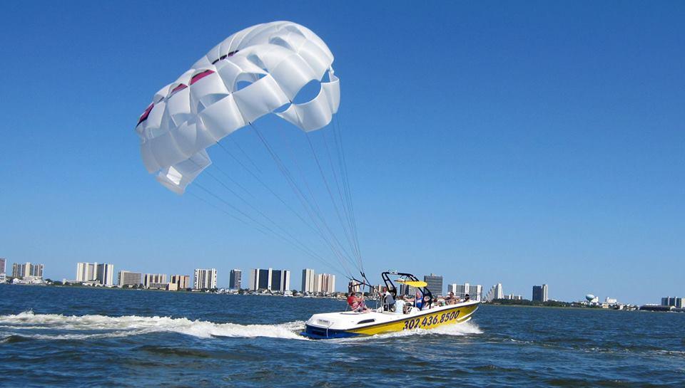 Six Hour Pontoon Boat Rental photo 1