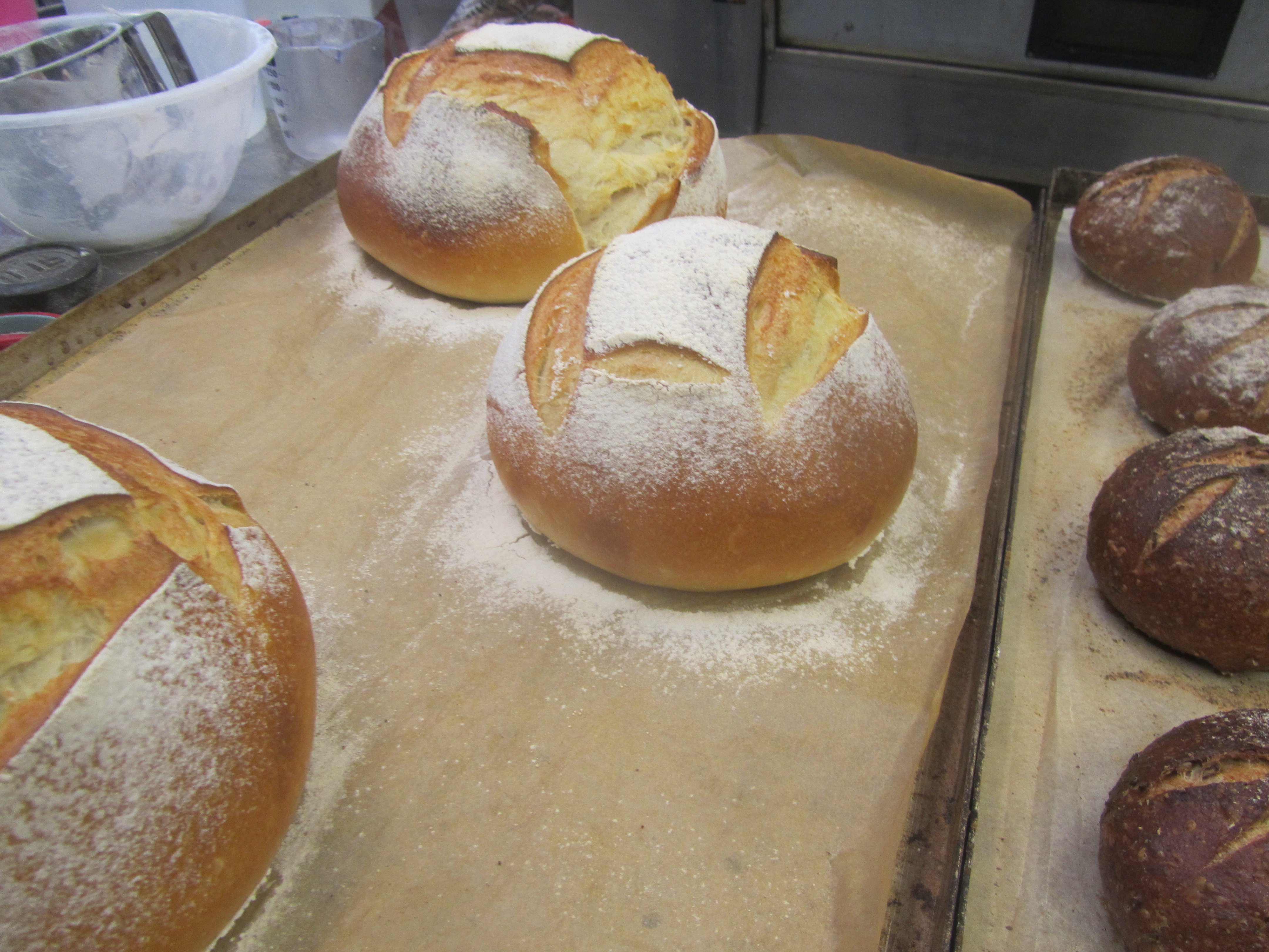 Sourdough Course