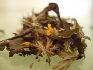 White Peach from Art of Tea