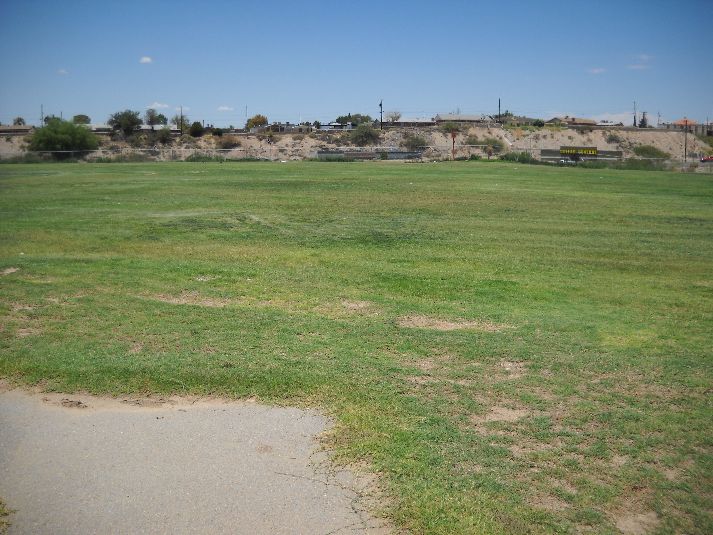 Playfield