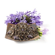 Lavender Dreams from Teavana