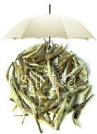 Silver Needle from Stir Tea