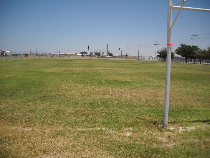 Playfield