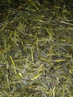 sencha kirishima from Camellia Sinensis