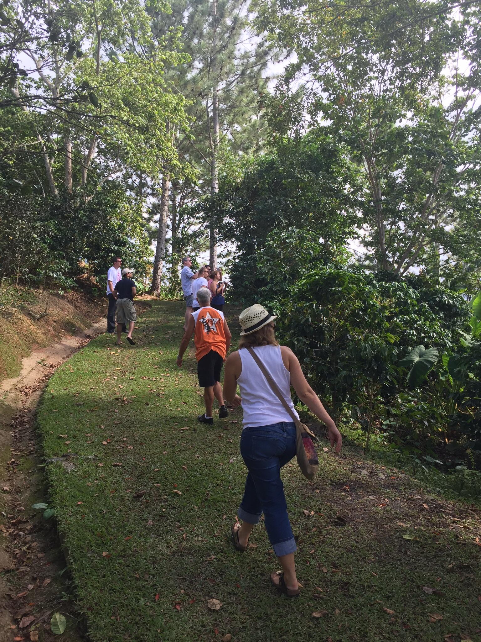 Semi-Private Coffee Plantation Tour ☕️ photo 4