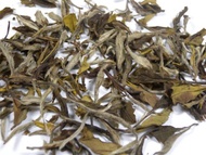 2010 Spring Organic Imperial White Peony White Tea from JK Tea Shop