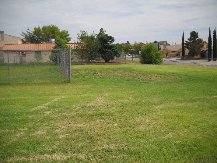 Playfield