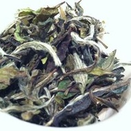 Loose Aged White Tea from Shang Tea