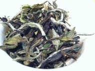 Loose Aged White Tea from Shang Tea