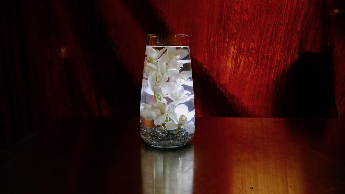 Orchids Underwater