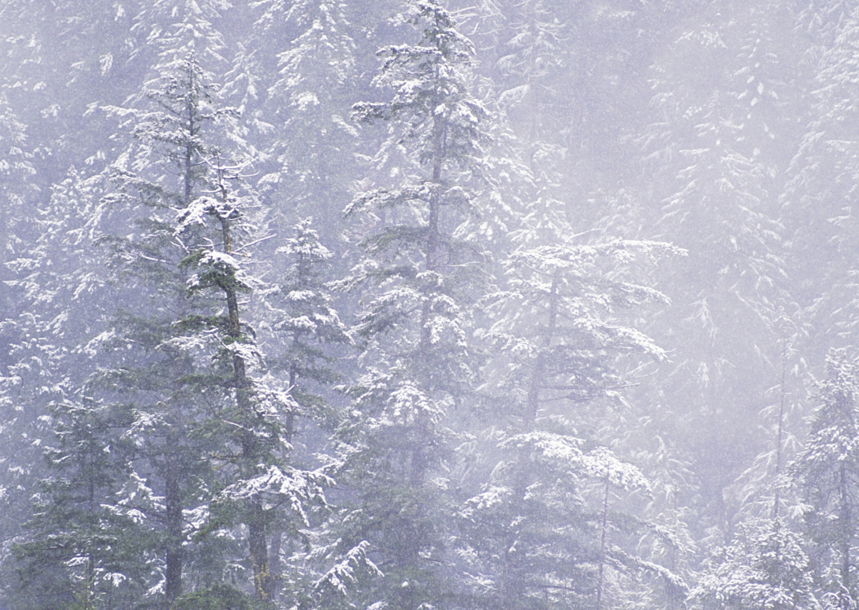 Snow