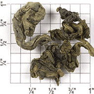 Formosa Tung-Ting Jade Oolong (TT86) from Upton Tea Imports