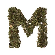 Spearmint and Peppermint Organic from KIMICHA