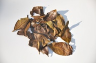 Hira Hoji Bancha from The Tea Practitioner