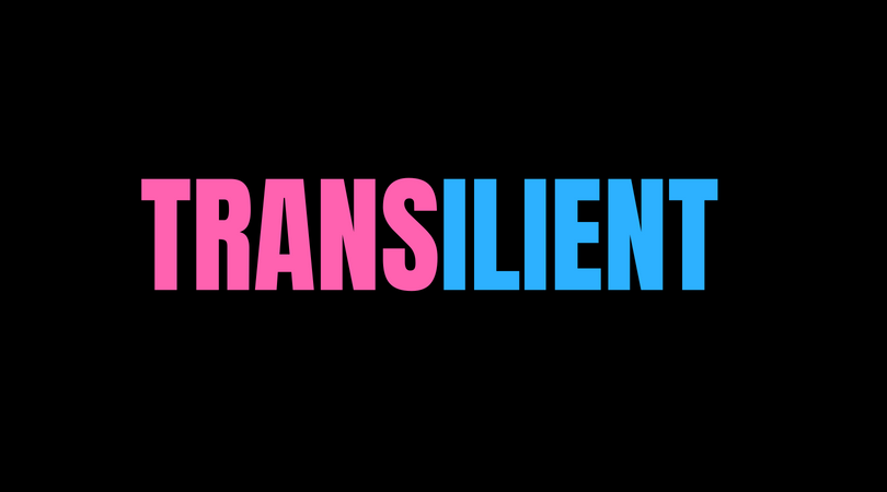 Transilient logo