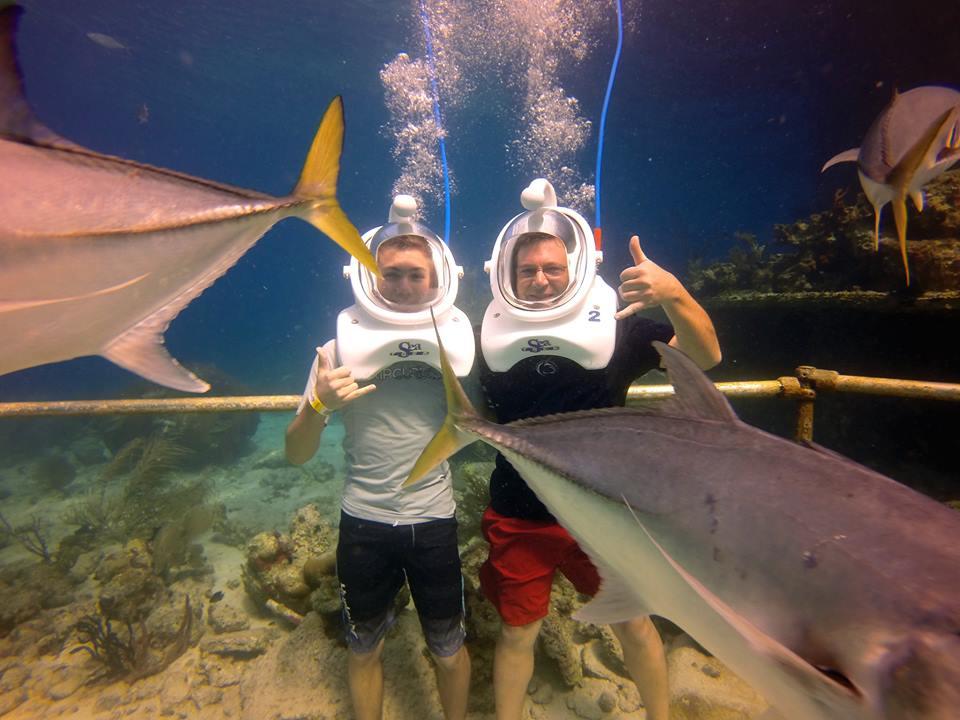 Sea Trek photo 2