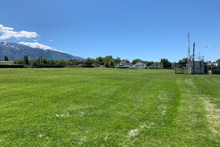 Fields