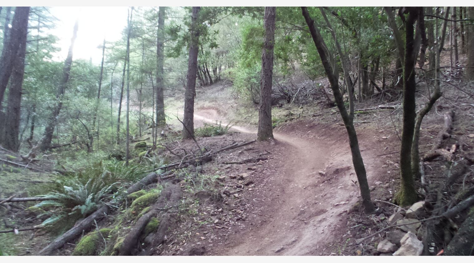 Annadel Mountain Bike Guided Ride 2-3 hrs