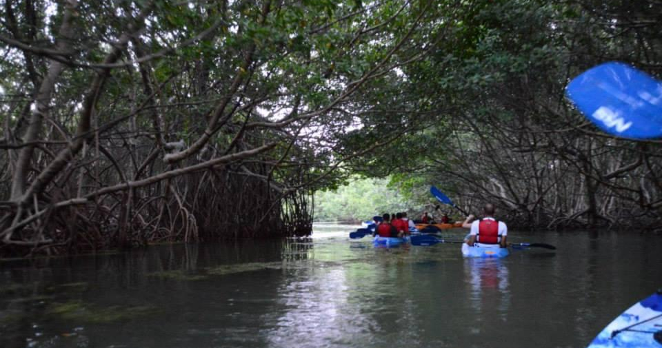 Fajardo Bioluminescent Bay Kayak Adventure Tour tour photo 2