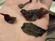Pearl Single Leafe Tea-Gaba Oolong from Physique: Body of Tea