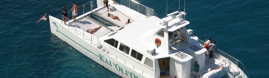 Afternoon Dolphin Watch & Snorkel Cruise in Kapolei, Hawaii - Honolulu