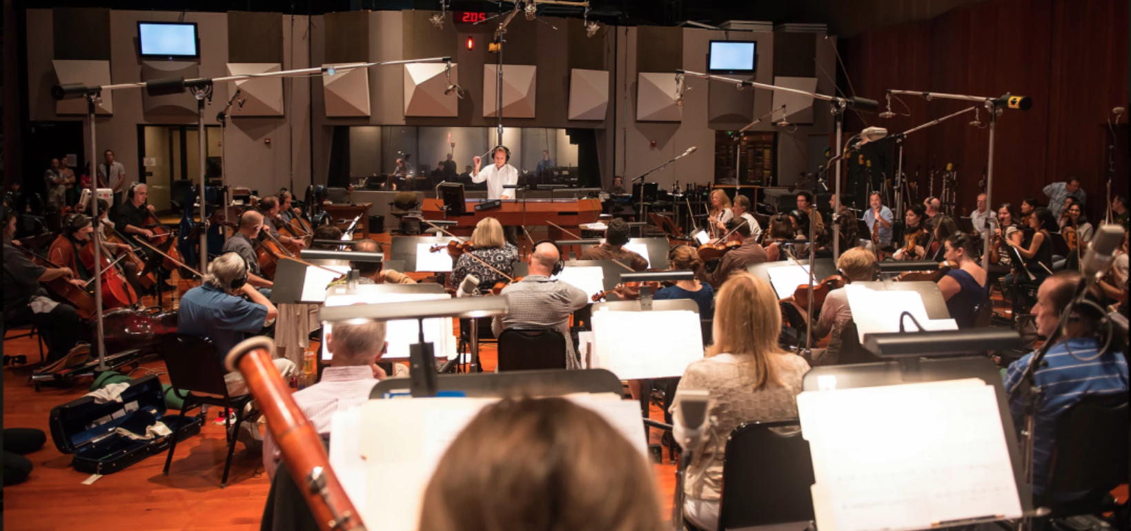 Product image for Hiring Orchestras on Low Budgets
