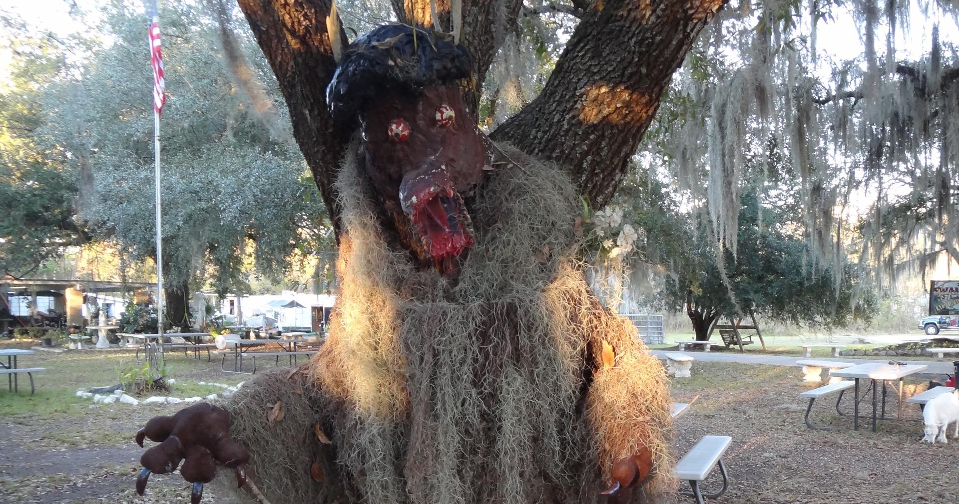In Search Of: Swamp Magic / Swamp Monsters photo 5