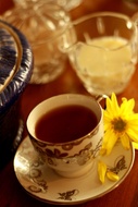 The Duchess from The Devotea