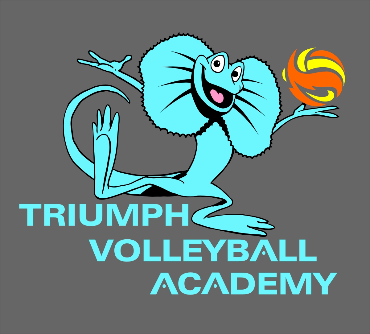 Triumph Volleyball Academy logo