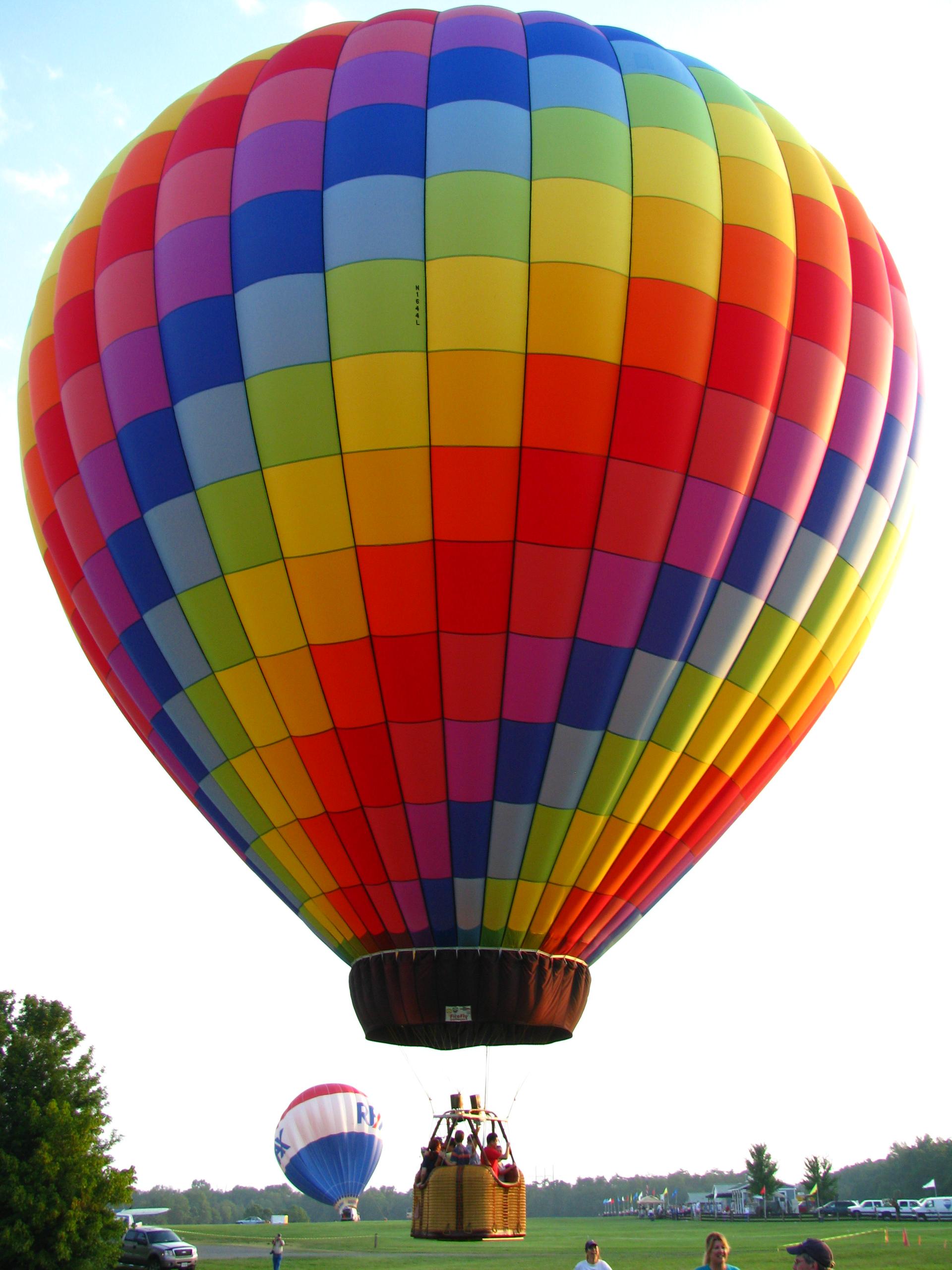 Champagne Hot Air Balloon Flight photo 1