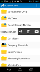 portfolio