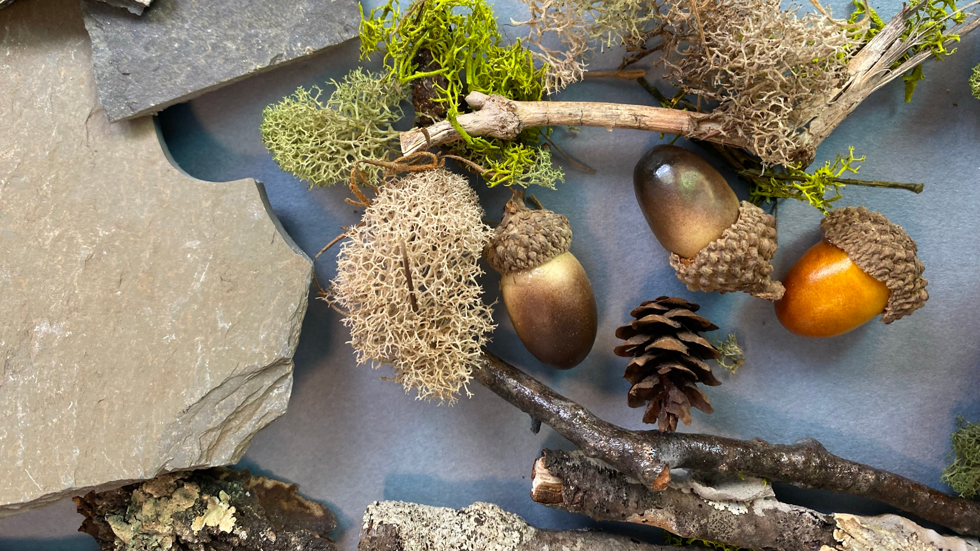 Product image for Mixed Media Using Natural Materials with Cheryl Cohen