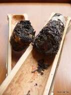 Wen Shan Bamboo Sheng Cha from Stone Leaf Teahouse