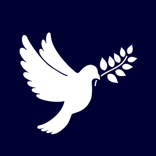 International Voluntary Service logo