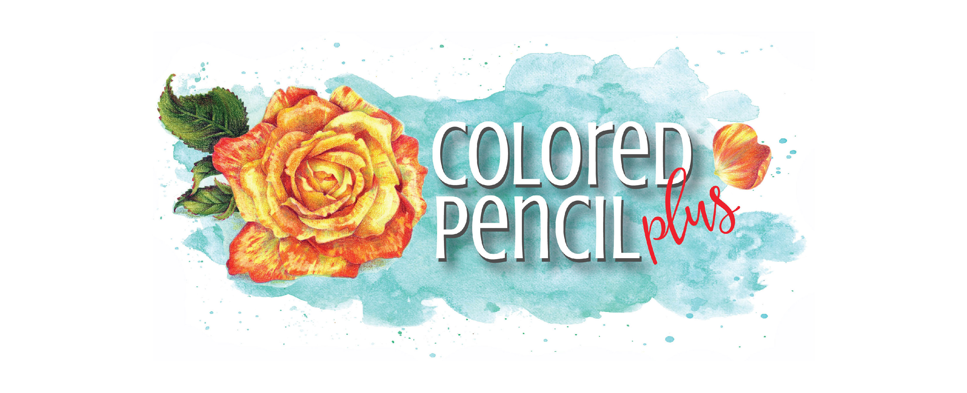 Colored Pencil Plus | Amy Shulke