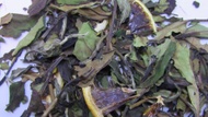 Lemon Meringue White Tea/Houjicha Blend from 52teas