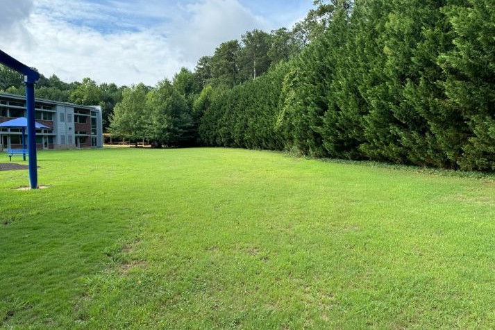 Grass Field