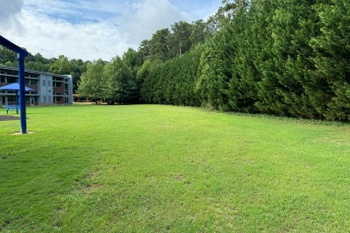 Grass Field