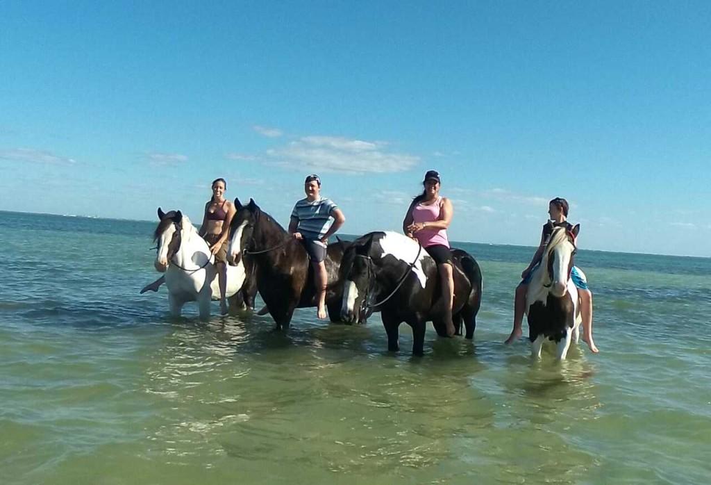 Alafia River State Park Trail Ride photo 1