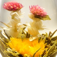 True Love Silver Needle Flower Tea from Teavivre