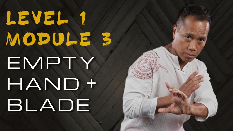 Product image for 2021 Virtual Instructor Weekend Level 1 Module 3: Empty Hand + Blade