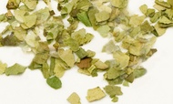 Yerba Maté from Zhi Tea