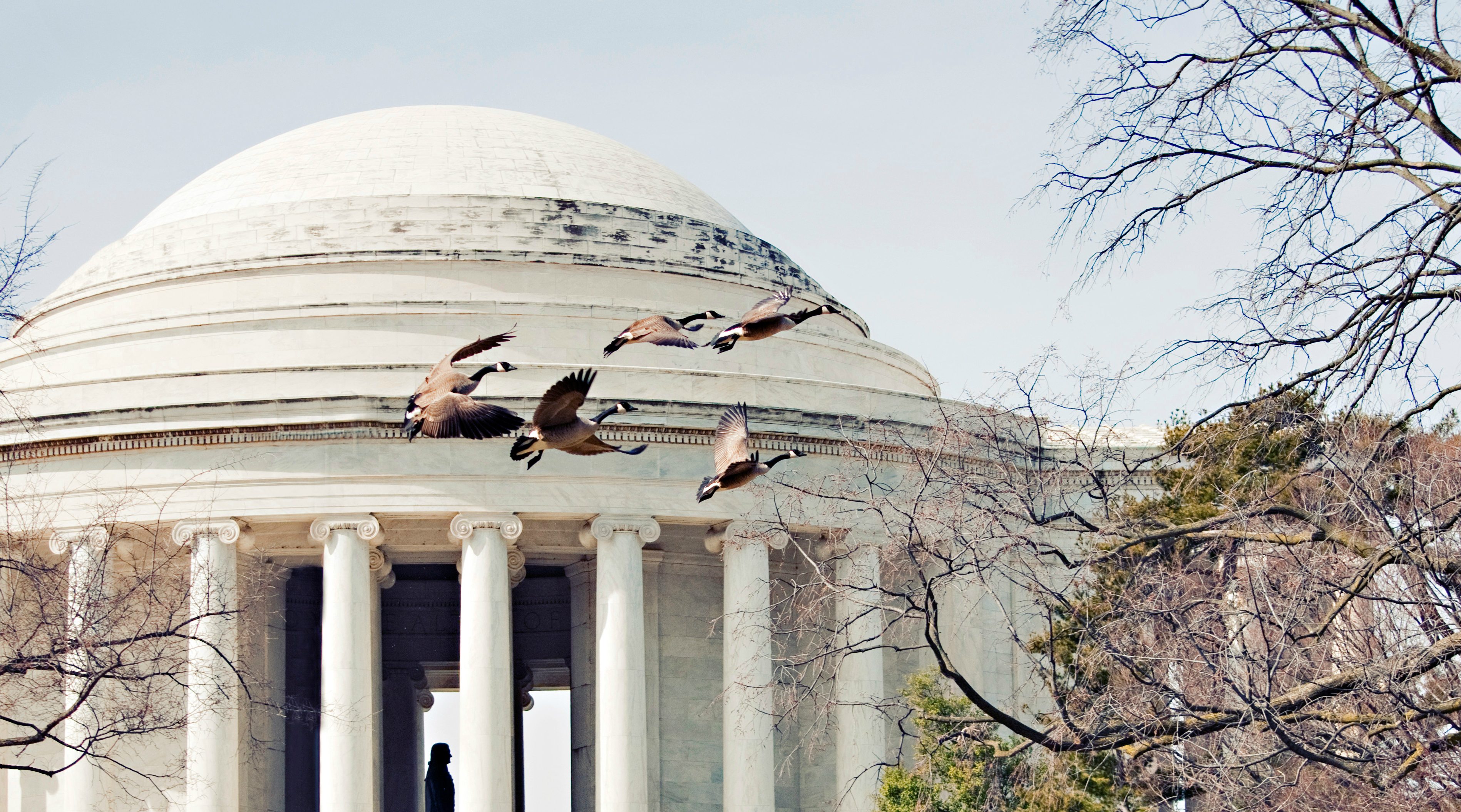 3Hour Washington DC Tour in Washington D.C. Book Tours & Activities