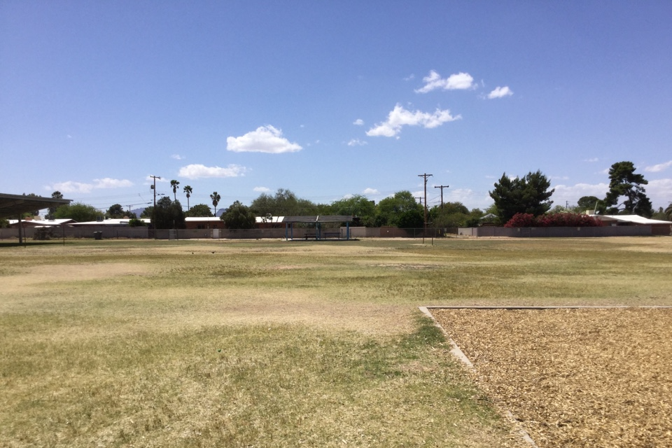 The Field and Playground