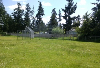 Baseball Field