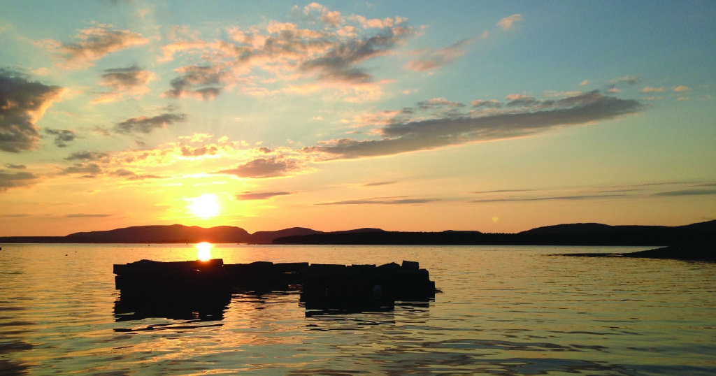 Sunset Cruise in Mount Desert, Maine with Sea Princess Cruises - Bar Harbor