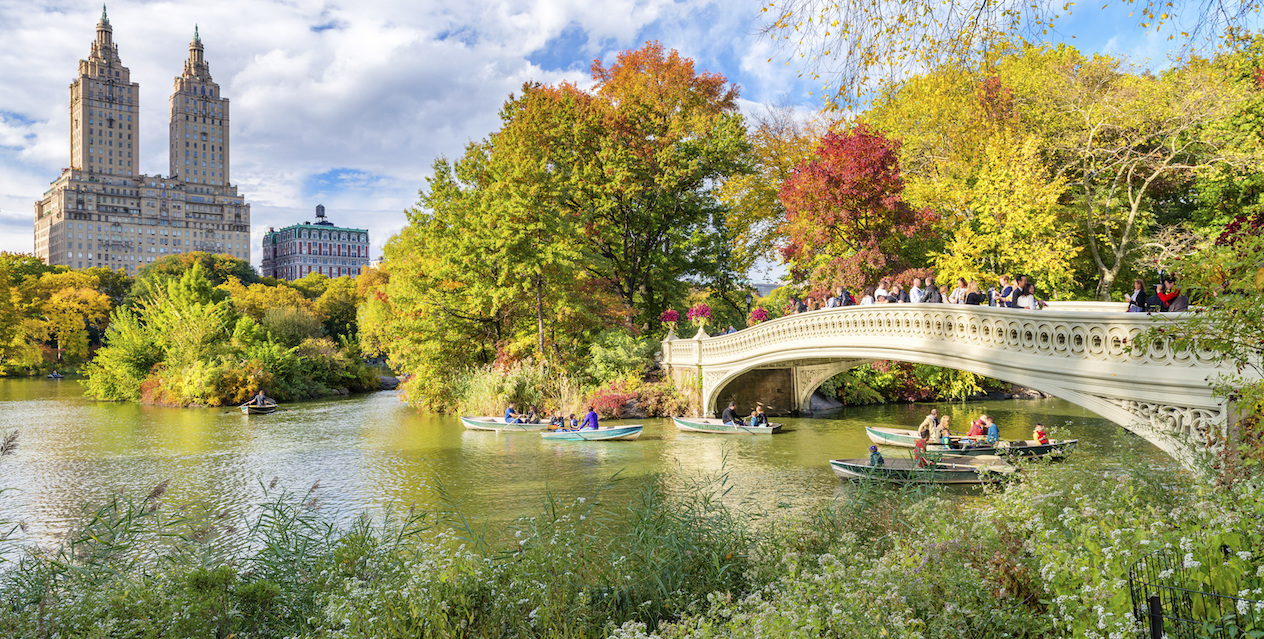 nyc park tours