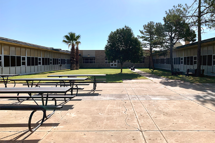 Palm Tree Courtyard